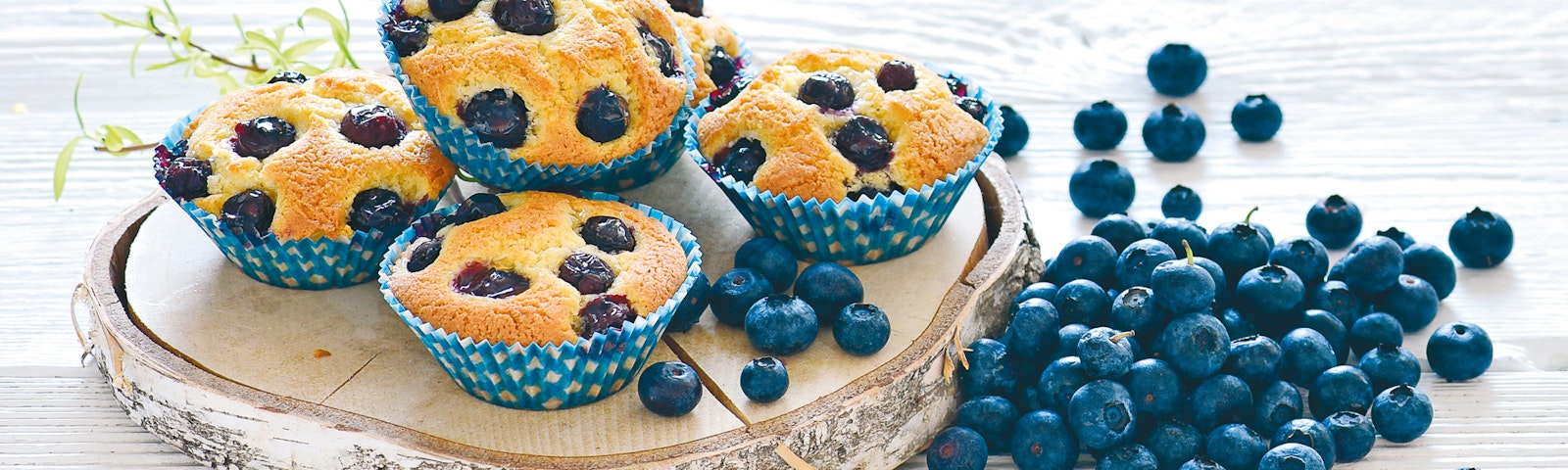 Heidelbeer-Muffins